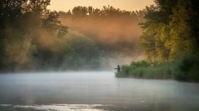 Scenic sunrise over Arkansas’ White River with an angler casting a fly rod, capturing the beauty of fly fishing in nature.